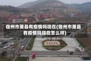 宿州市萧县有疫情吗现在(宿州市萧县有疫情吗现在怎么样)