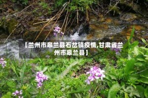 【兰州市皋兰县石岔镇疫情,甘肃省兰州市皋兰县】