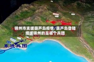 锦州市支援葫芦岛疫情/葫芦岛登陆增援锦州的是哪个兵团