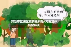 河池市宜州区疫情级别是/河池宜州新型肺炎