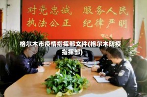 格尔木市疫情指挥部文件(格尔木防疫指挥部)