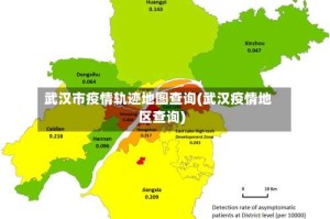 武汉市疫情轨迹地图查询(武汉疫情地区查询)