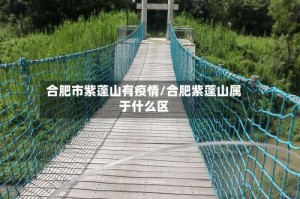 合肥市紫蓬山有疫情/合肥紫蓬山属于什么区