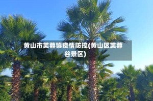 黄山市芙蓉镇疫情防控(黄山区芙蓉谷景区)