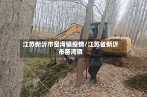 江苏新沂市窑湾镇疫情/江苏省新沂市窑湾镇