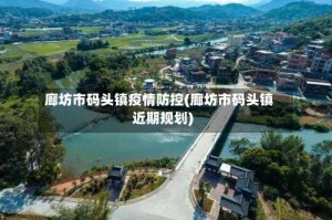 廊坊市码头镇疫情防控(廊坊市码头镇近期规划)