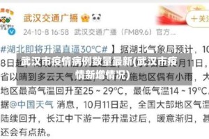 武汉市疫情病例数量最新(武汉市疫情新增情况)