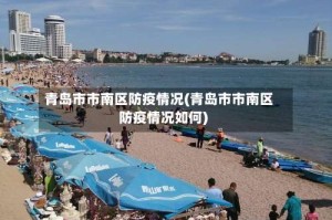 青岛市市南区防疫情况(青岛市市南区防疫情况如何)