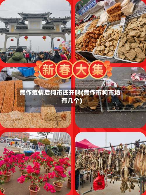 焦作疫情后狗市还开吗(焦作市狗市场有几个)-第1张图片