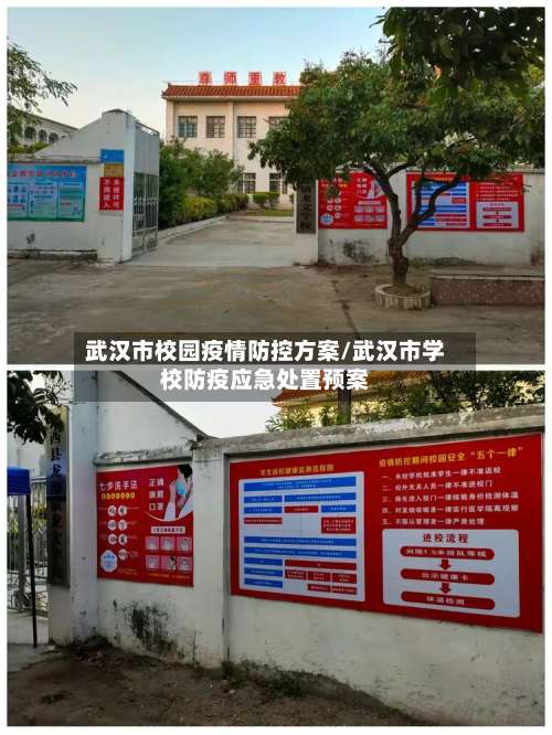 武汉市校园疫情防控方案/武汉市学校防疫应急处置预案-第2张图片