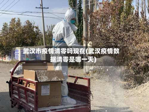 武汉市疫情清零吗现在(武汉疫情数据清零是哪一天)-第1张图片