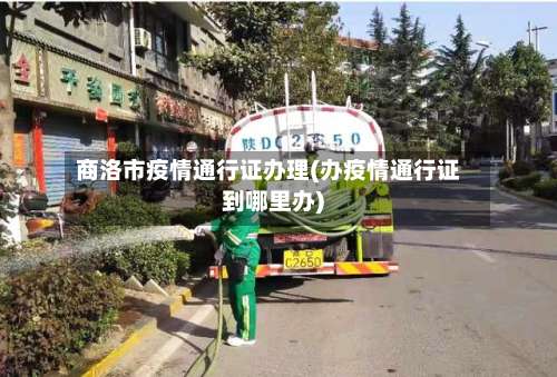 商洛市疫情通行证办理(办疫情通行证到哪里办)-第1张图片
