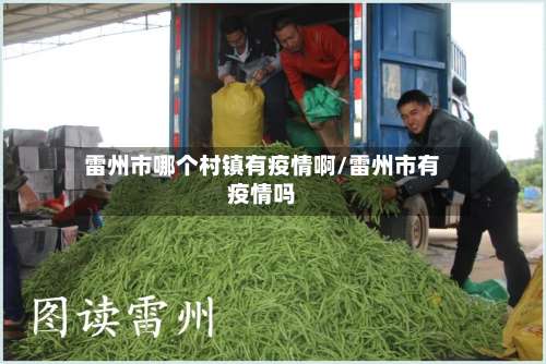 雷州市哪个村镇有疫情啊/雷州市有疫情吗-第1张图片
