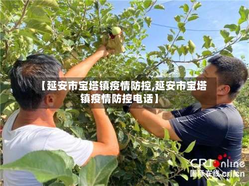 【延安市宝塔镇疫情防控,延安市宝塔镇疫情防控电话】-第3张图片