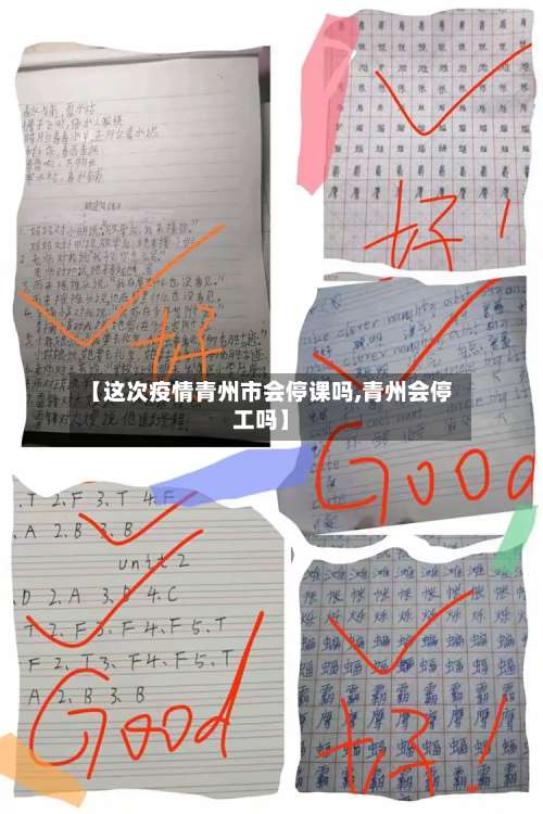 【这次疫情青州市会停课吗,青州会停工吗】-第2张图片