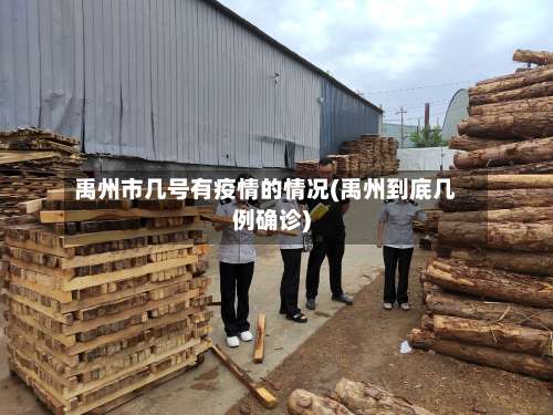 禹州市几号有疫情的情况(禹州到底几例确诊)-第1张图片