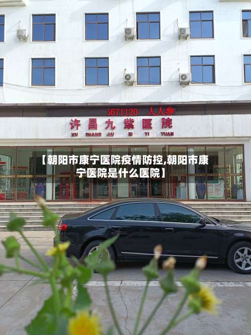 【朝阳市康宁医院疫情防控,朝阳市康宁医院是什么医院】-第2张图片