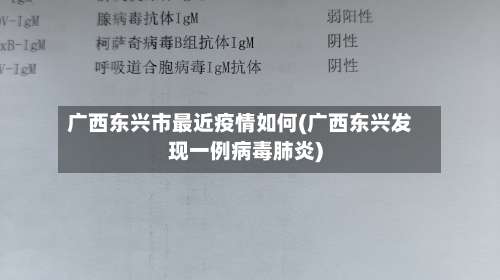 广西东兴市最近疫情如何(广西东兴发现一例病毒肺炎)-第2张图片