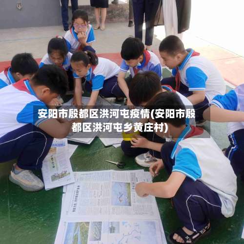 安阳市殷都区洪河屯疫情(安阳市殷都区洪河屯乡黄庄村)-第2张图片