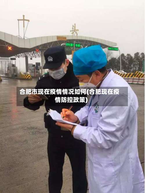 合肥市现在疫情情况如何(合肥现在疫情防控政策)-第2张图片