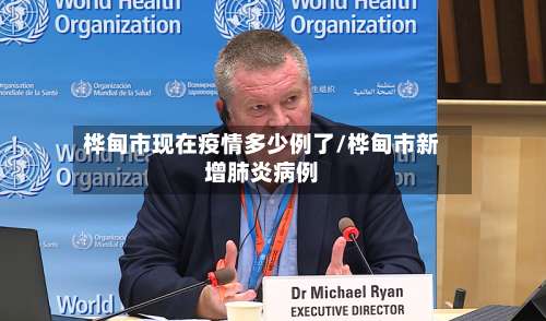 桦甸市现在疫情多少例了/桦甸市新增肺炎病例-第2张图片