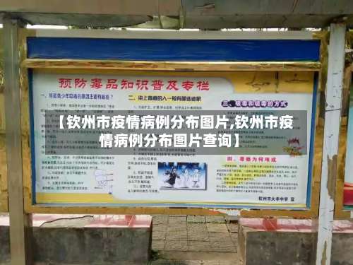 【钦州市疫情病例分布图片,钦州市疫情病例分布图片查询】-第2张图片