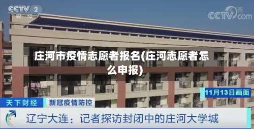 庄河市疫情志愿者报名(庄河志愿者怎么申报)-第1张图片